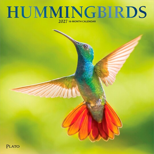 Plato; Hummingbirds | 2027 12 x 24 Inch (Hanging) Monthly Square Wall Calendar | Foil Stamped Cover; Category:Wall Calendars; Image:1